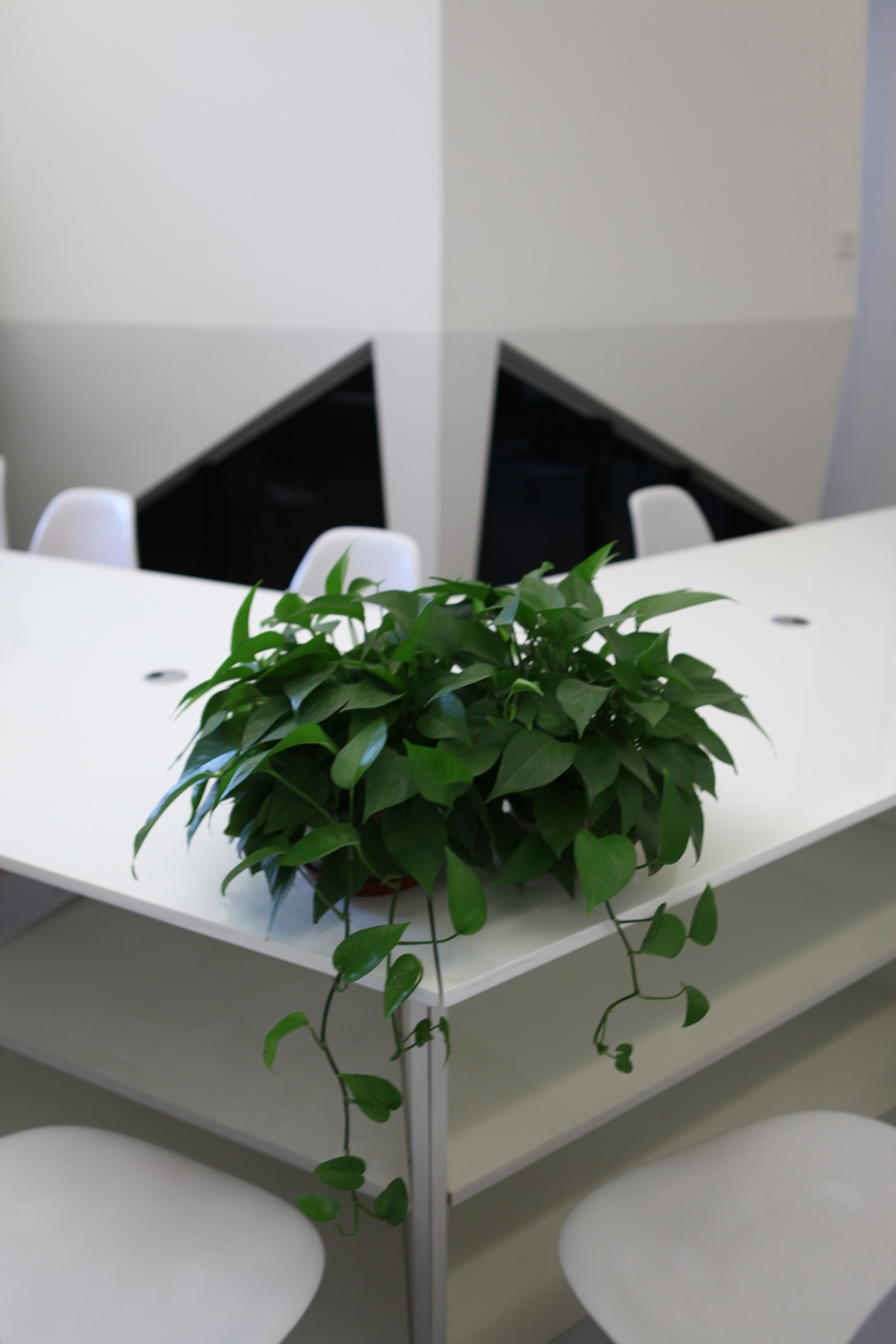 嘉定區小清新辦公室裝修設計案例-第6張圖片-上海古都建筑設計集團 嘉定區小清新辦公室裝修設計案例-第6張圖片-上海古都建筑設計集團